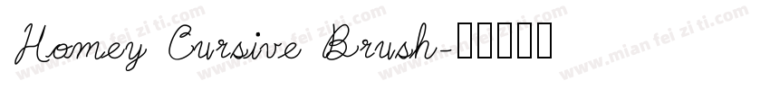 Homey Cursive Brush字体转换